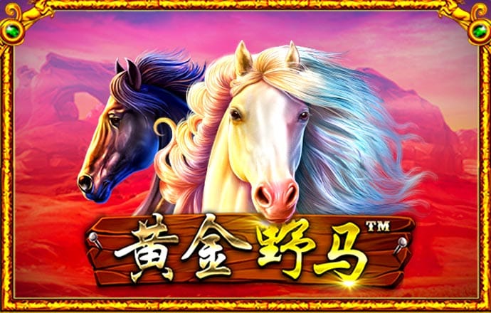 华体体育app下载